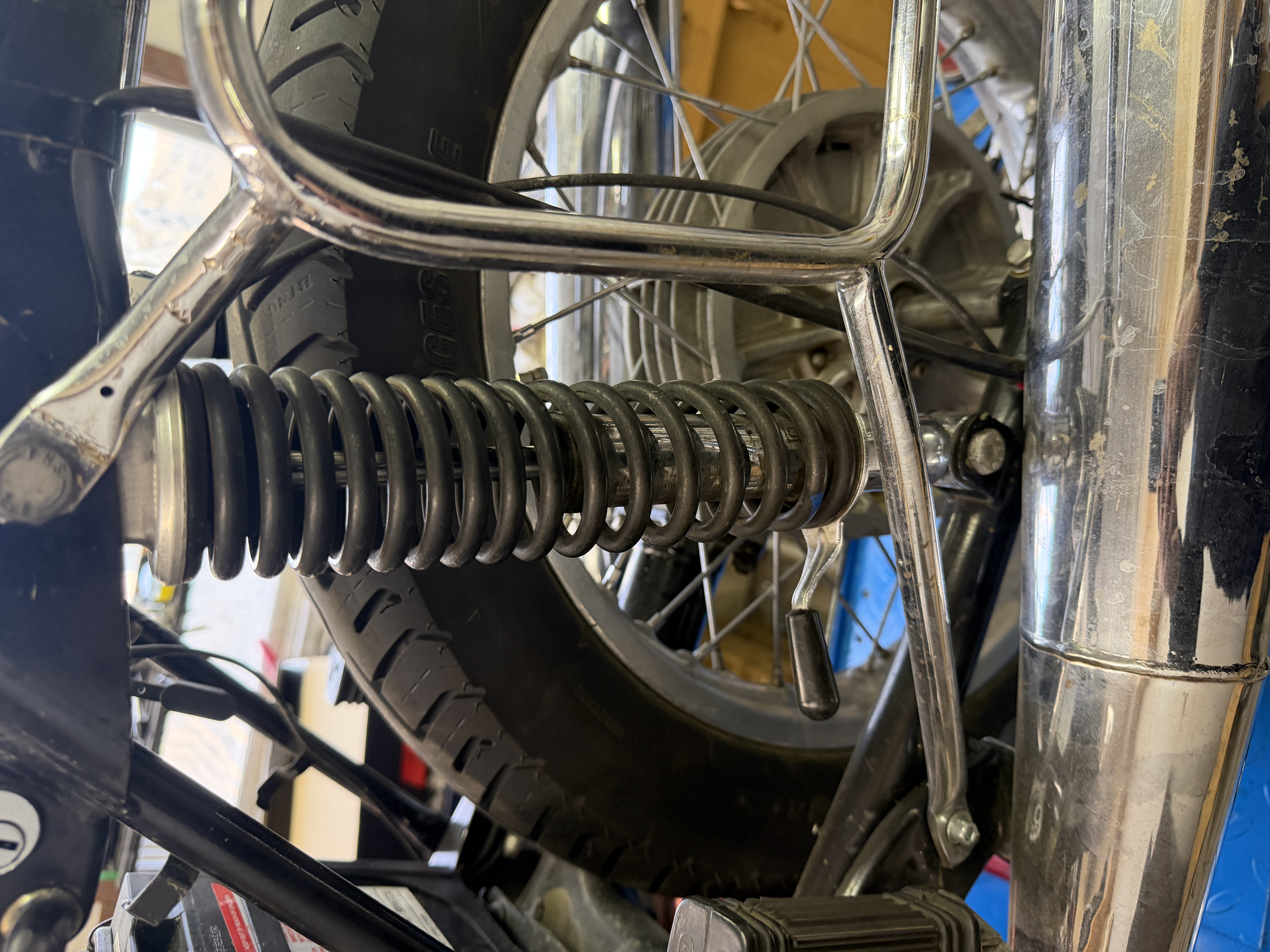 Rear Shocks